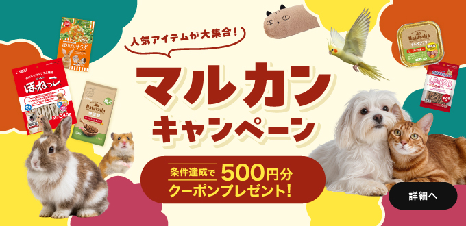 マルカンキャンペーン