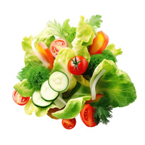 サラダ野菜(きゅうり・トマトなど)