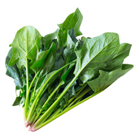 葉物野菜(キャベツ・ほうれん草など)