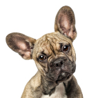product-images