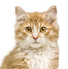 product-images