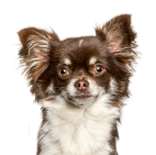 product-images