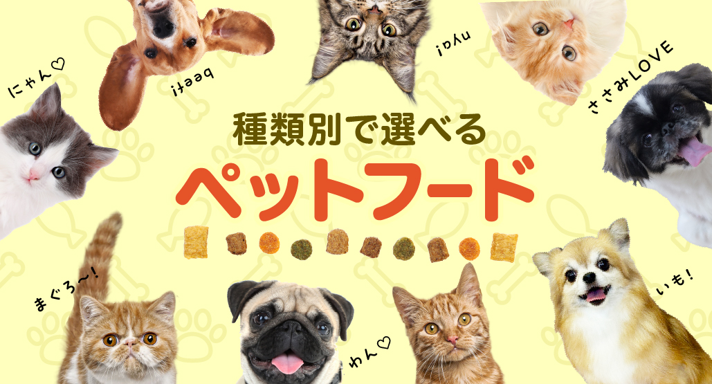 ペットフード特集
