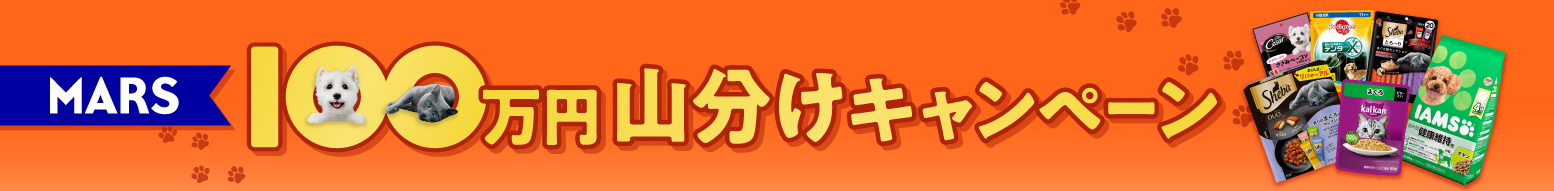 MARS 100万円山分けキャンペーン