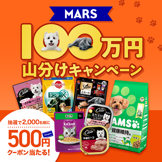 MARS 100万円山分けキャンペーン