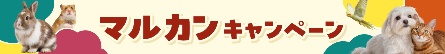 マルカンキャンペーン