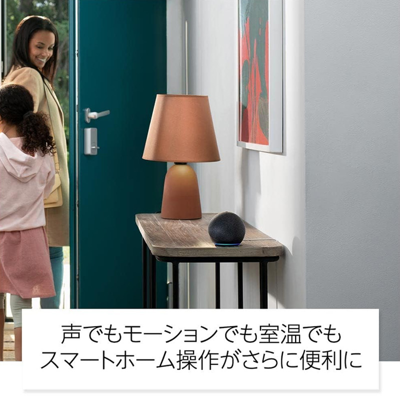 Amazon Echo Dot 第5世代 ブラック B09B8SZLLG
