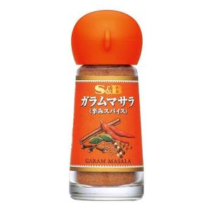 ガラムマサラ 13g