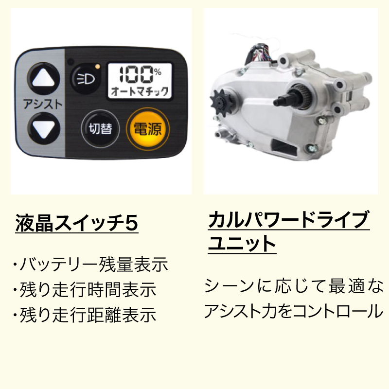 ◆【お取り寄せ商品】ティモ・DX 2025モデル 電動自転車 27インチ 5段