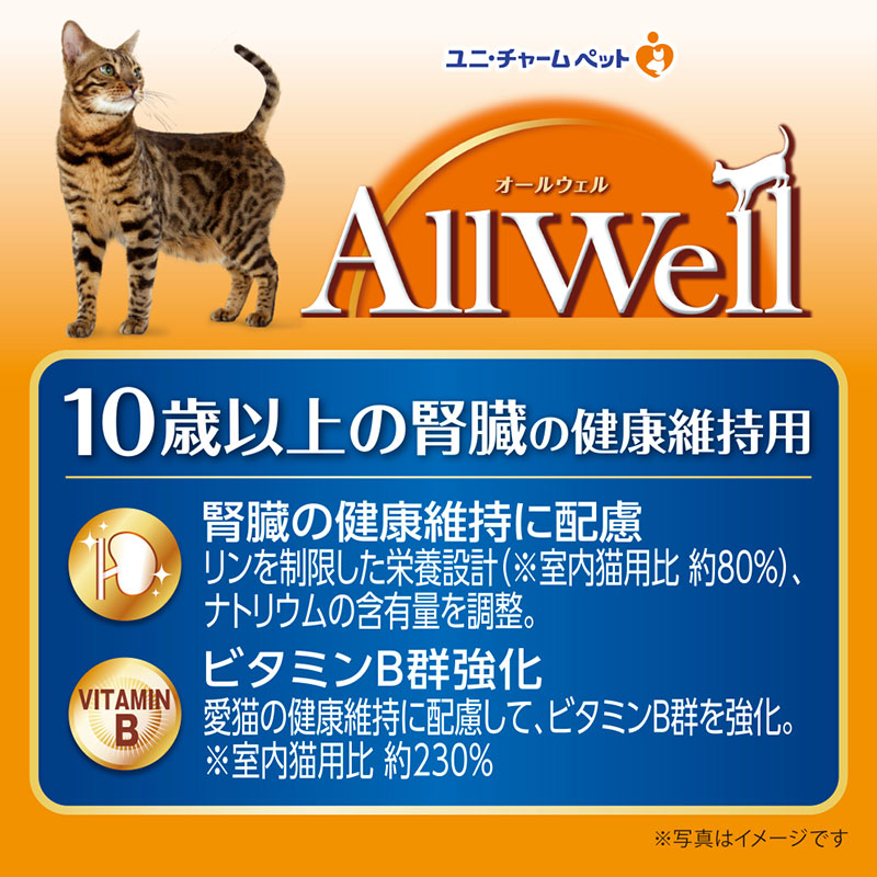 オールウェル 10歳以上の腎臓の健康維持用フィッシュ味挽き小魚とささみフリーズドライパウダー入り2.4kg