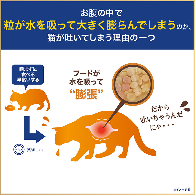 オールウェル 10歳以上の腎臓の健康維持用フィッシュ味挽き小魚とささみフリーズドライパウダー入り2.4kg