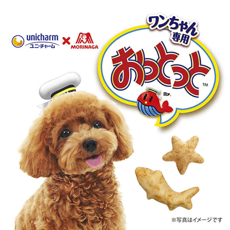 グラン・デリ ワンちゃん専用おっとっと スイートポテト味 50g
