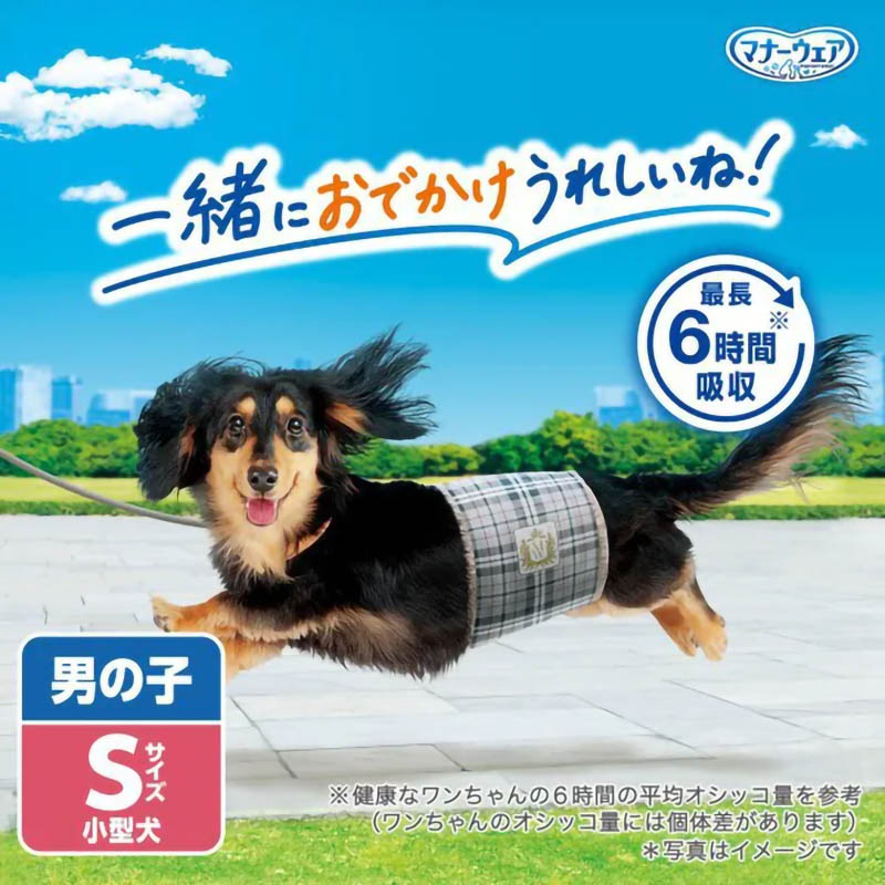 マナーウェア 男の子用 S 20枚入