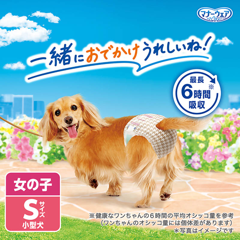 マナーウェア女の子用 Sサイズ 4枚