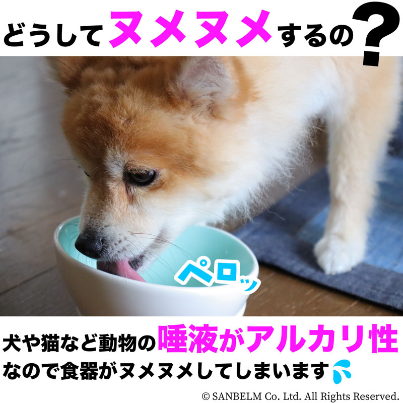 洗剤不要のペット用食器洗い グレー