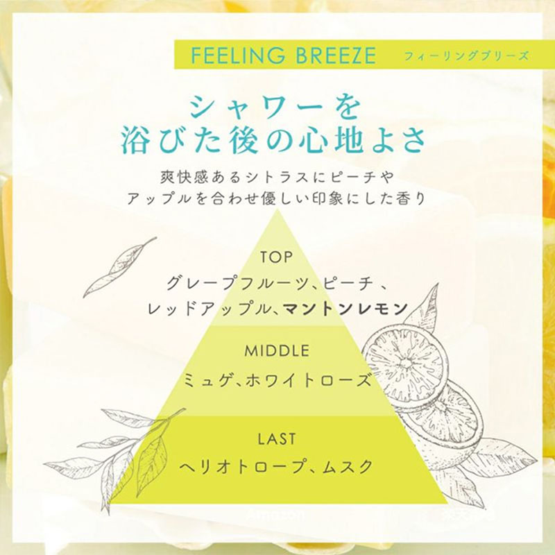 【並行輸入品】ファブリックスプレー フィーリングブリーズ 250ml