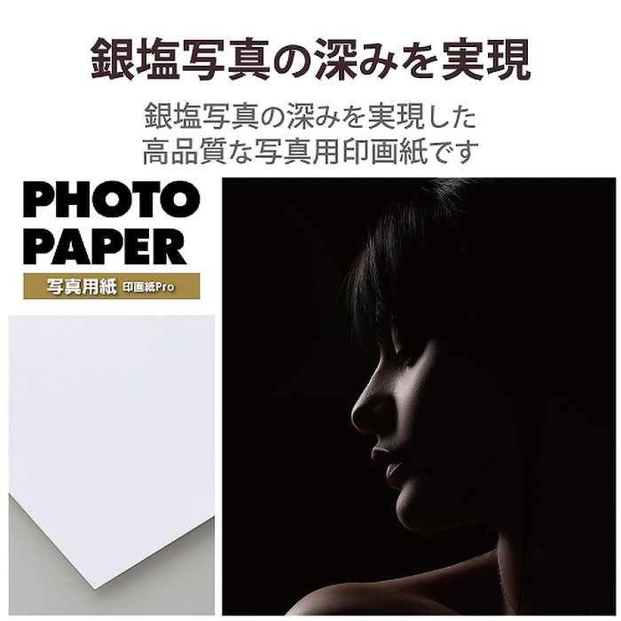 写真用紙 印画紙Pro 2L版 厚手 50枚入り