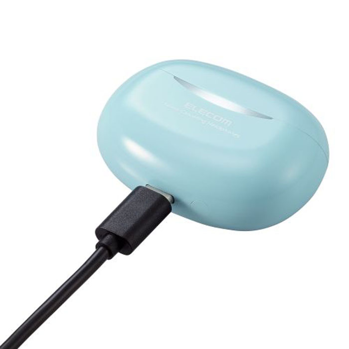 ワイヤレスイヤホン Bluetooth ノイズキャンセリング Type-C 充電 ブルー LBT-TWS15BU