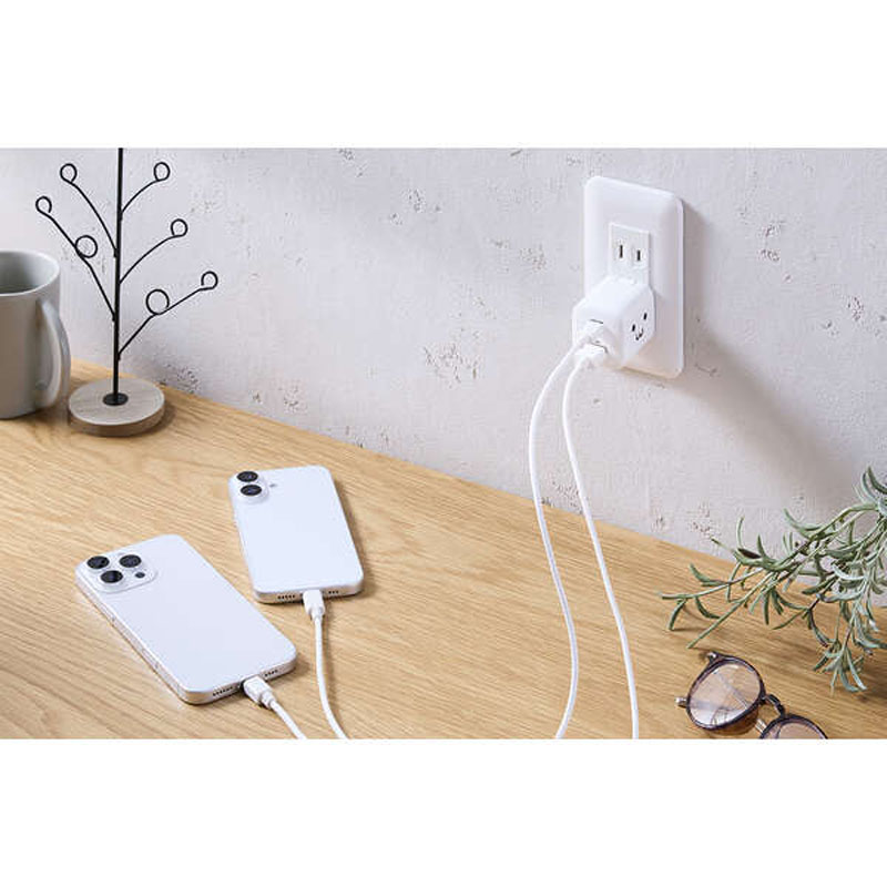 USB Power Delivery 45W AC充電器(C×1+A×1) しろちゃん