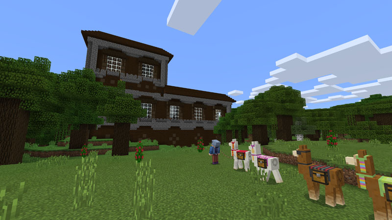MINECRAFT