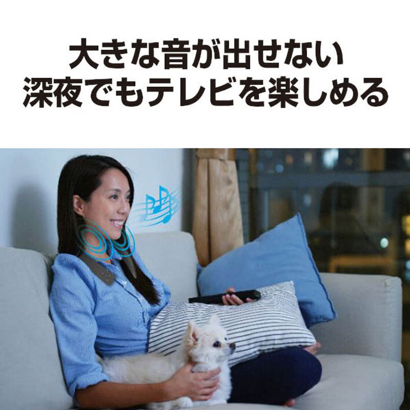 【お取り寄せ商品】ワイヤレスネックスピーカー  SC-WN10-K