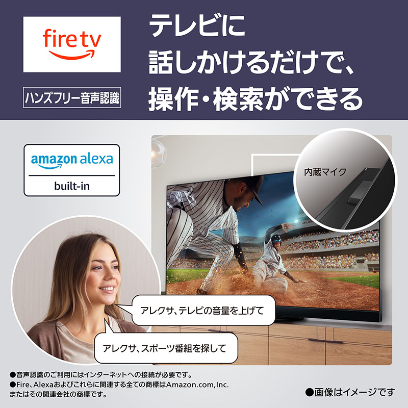 55V型 4K 有機ELテレビ TV-55Z95A