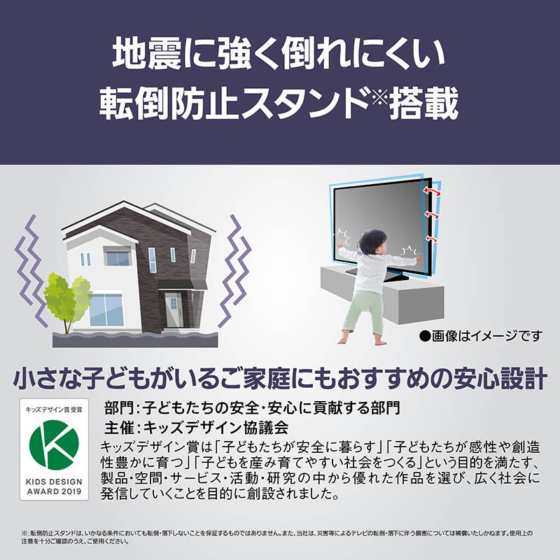 65V型 4K 有機ELテレビ TV-65Z95A