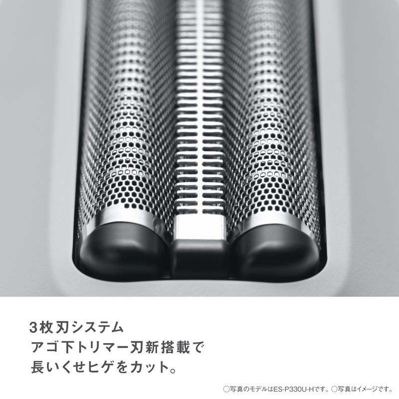 【お取り寄せ商品】ラムダッシュ パームイン LITE