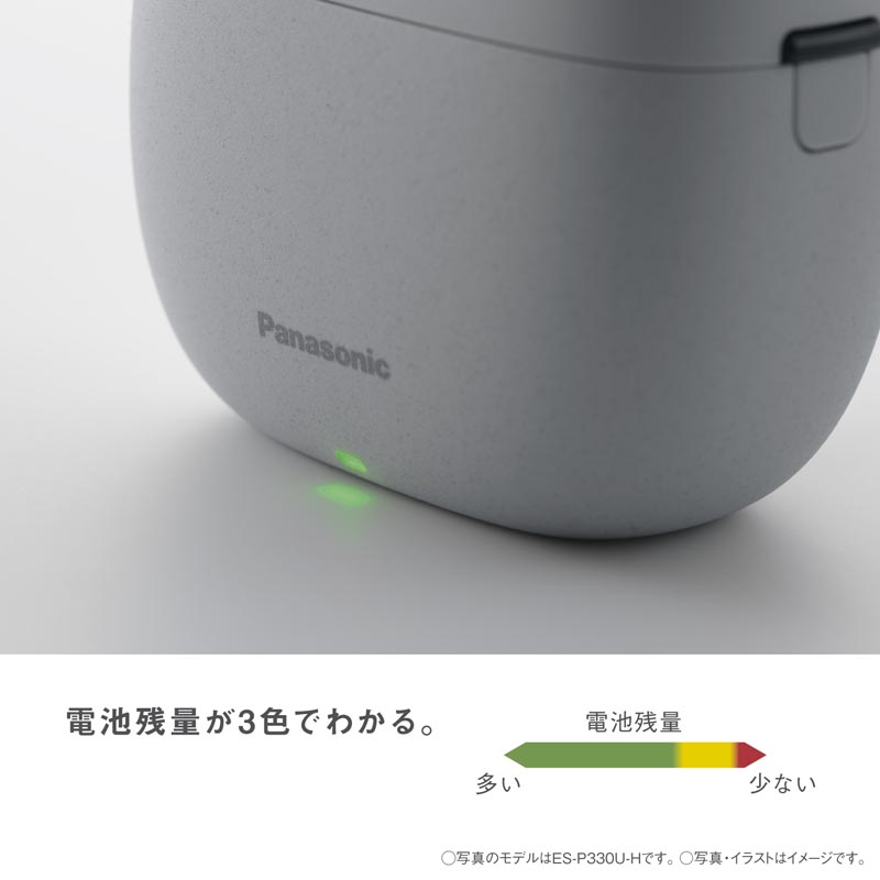 【お取り寄せ商品】ラムダッシュ パームイン LITE