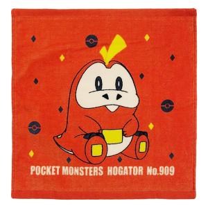 ウォッシュタオル ポケモン N4505 ホゲータ 34×35cm