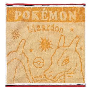 ウォッシュタオル ポケモン N4587 リザードン 34×35cm
