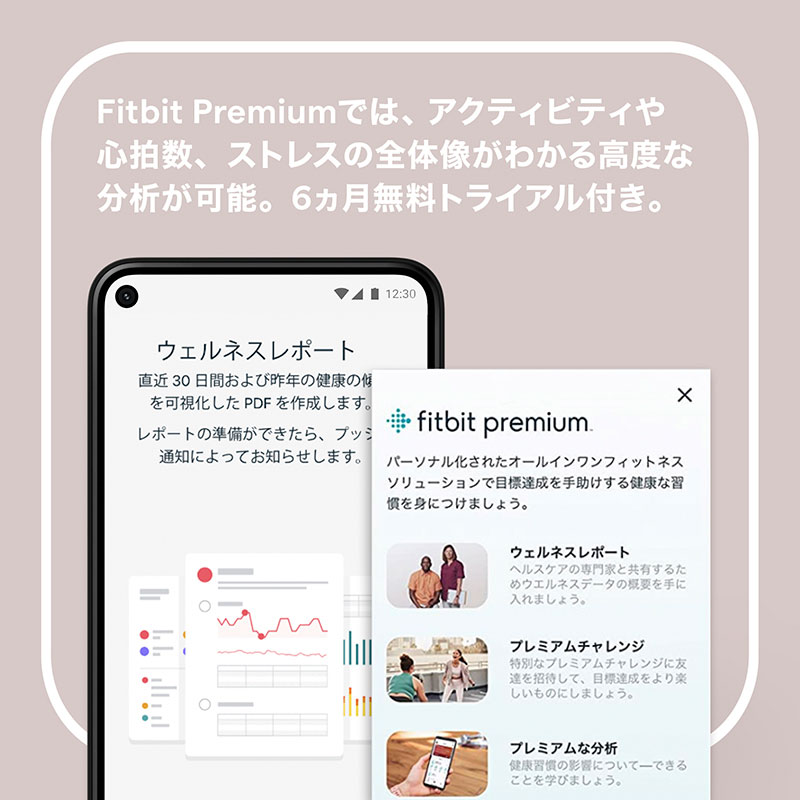 Fitbit スマートバンド FB422SRMG  オーキッド | プラチナ