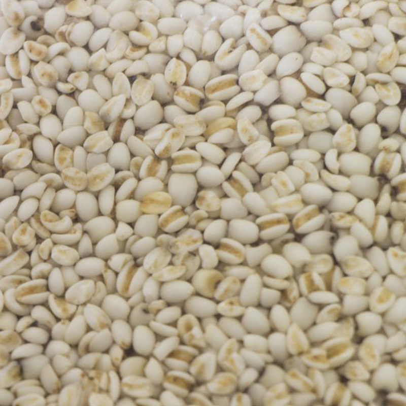 ハトムギオールインワンゲル 300g