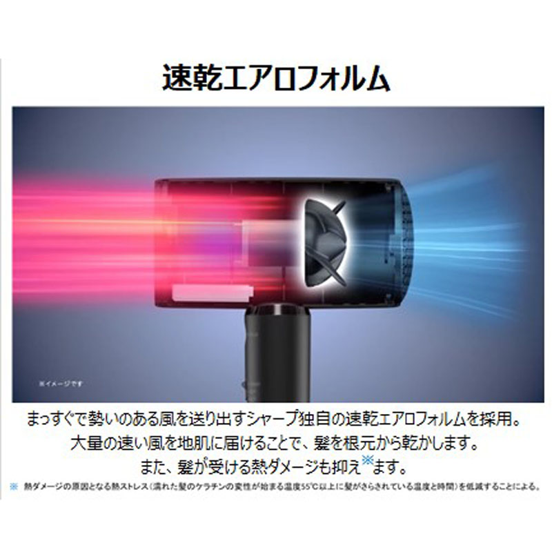 ●プラズマクラスター ドレープフロードライヤー IB-P801W ミナスホワイト