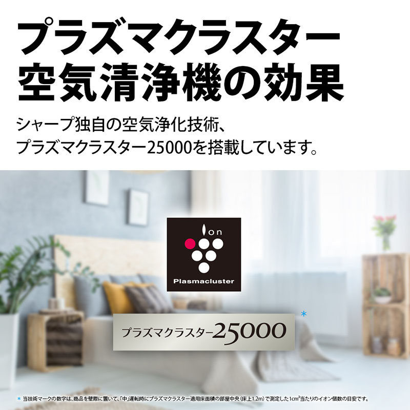 【お取り寄せ商品】加湿空気清浄機 KI-SS50W ホワイト系