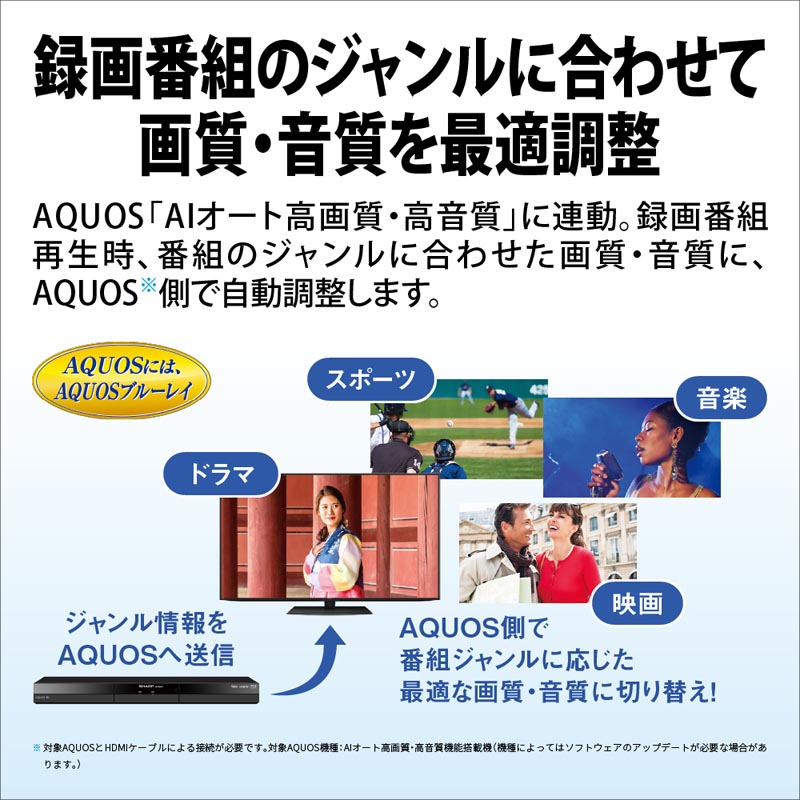ブルーレイレコーダー 1TB AQUOS 2B-C10GW1