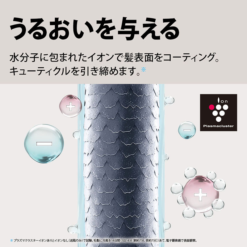 【お取り寄せ商品】プラズマクラスタードライヤー IB-P802B ミッドナイトブラック