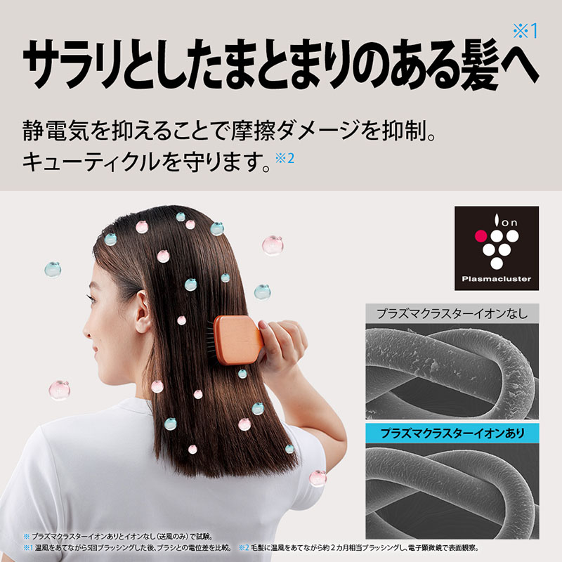 【お取り寄せ商品】プラズマクラスタードライヤー IB-P802B ミッドナイトブラック
