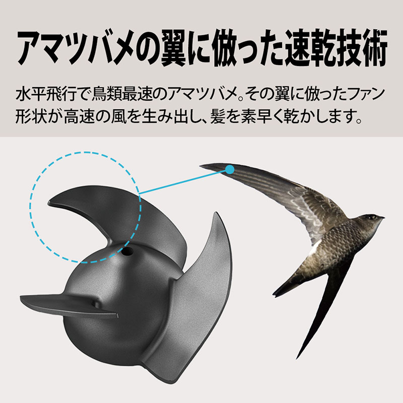 【お取り寄せ商品】プラズマクラスタードライヤー IB-P802B ミッドナイトブラック
