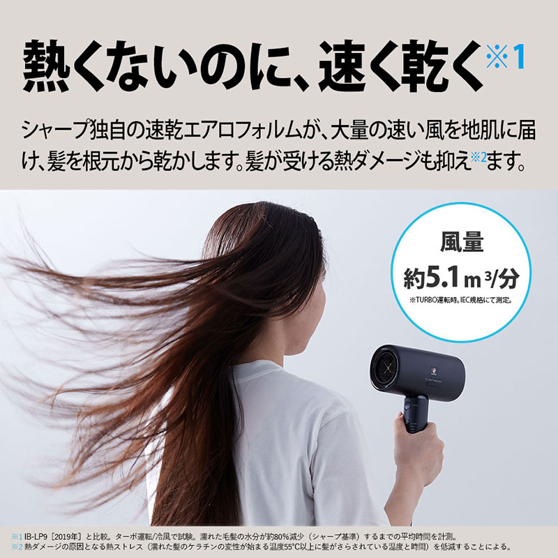 【お取り寄せ商品】プラズマクラスタードライヤー IB-P802B ミッドナイトブラック
