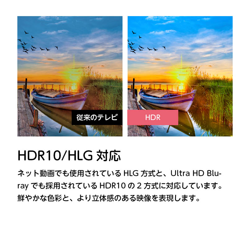 ★50V型 Google搭載TV OLS50RD10