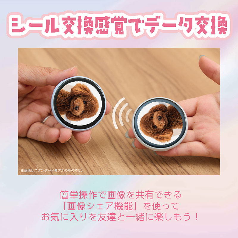 スマートバッジ エントリー スカイブルー EB160TSB