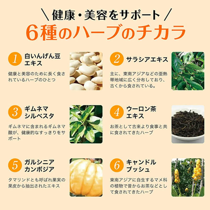 スベルティ ぱっくん分解酵母 56粒