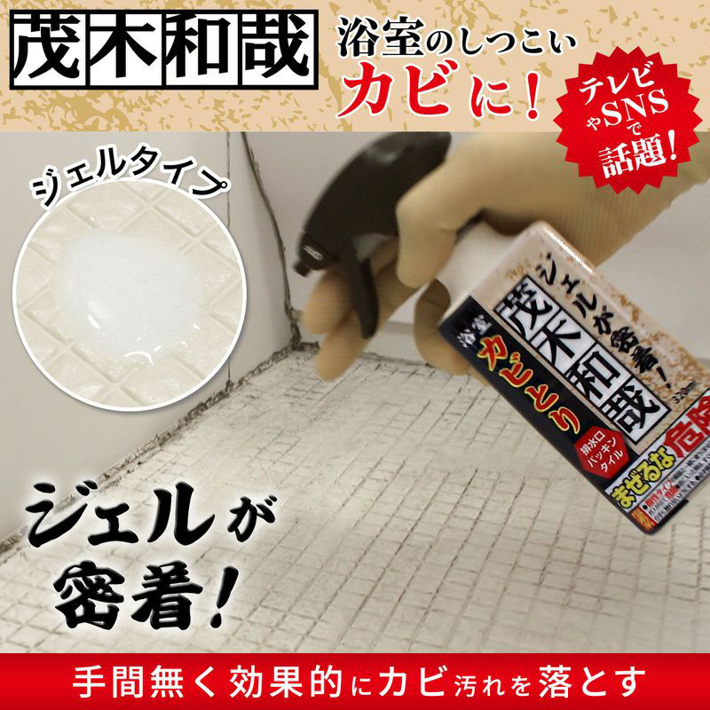 カビとりジェルスプレー 茂木和哉 320ml