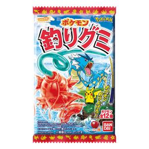 ポケモン 釣りグミ 14g 14g