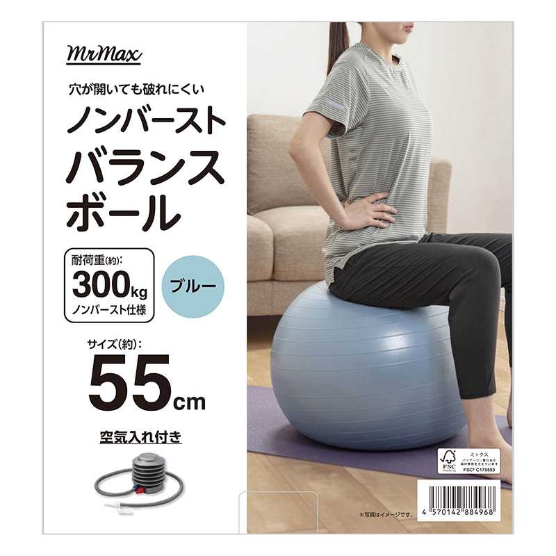 ノンバーストバランスボール 55cm ブルー
