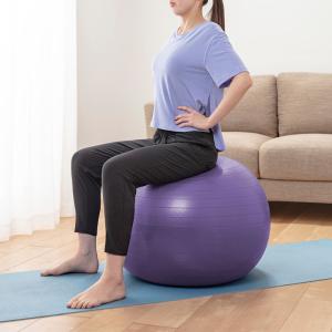 ノンバーストバランスボール 65cm パープル