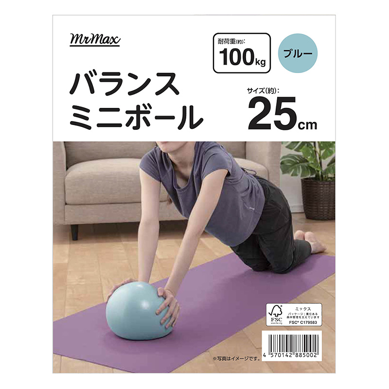 バランスボールミニ  25cm ブルー