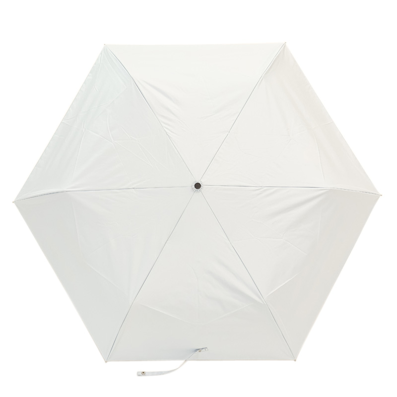 耐風オールウェザー折傘 55cm サックス
