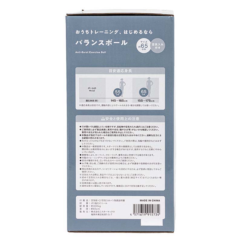 おうちトレーニング、はじめるなら バランスボール 65cm ブルーグレー 空気入れ付き